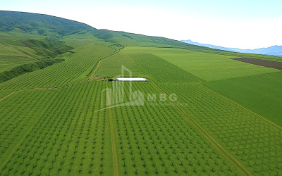 For Sale Land Does Kaspi Shida Kartli