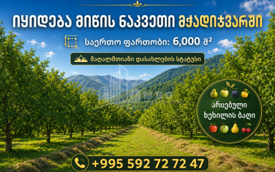 იყიდება სააგარაკე მიწის ნაკვეთი სოფელ მჭადიჯვარში, დუშეთი
