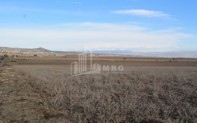 For Sale Orchards Land, in Kvemo Teleti