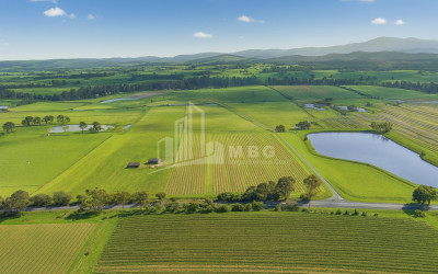 For Sale Land Kakheti