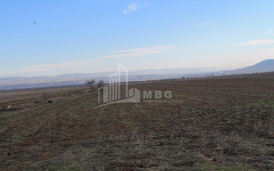 For Sale Orchards Land, in Kvemo Teleti