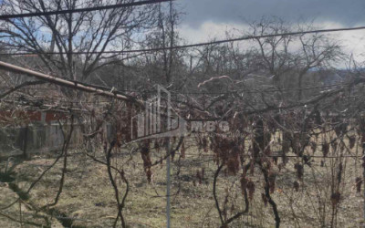 For Sale House - Villa, in Abastumani