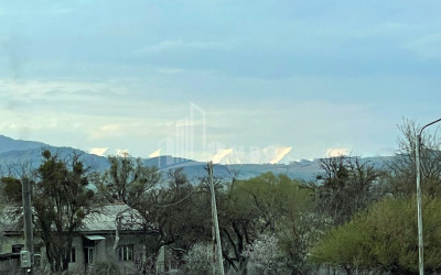 იყიდება მიწის ნაკვეთი ღულელები თიანეთი მცხეთა   მთიანეთი