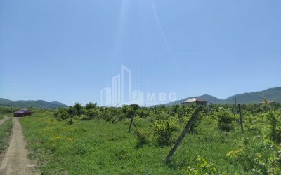 For Sale Country Land, in fence