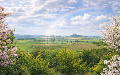 For Sale Land Bolnisi Kvemo Kartli