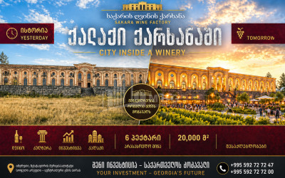 Продается Замок / Винный завод Коммерческий В Деревня Аргвете, Зестафони