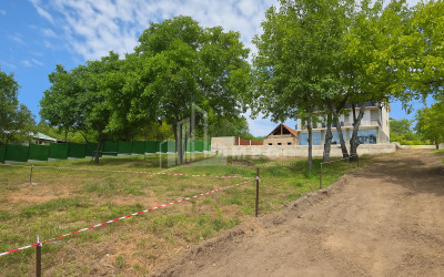 For Sale Commercial Bazaleti Dusheti Mtskheta   Mtianeti