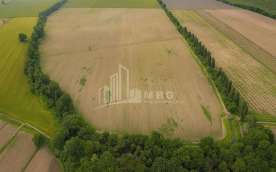 For Sale Land Telavi Kakheti