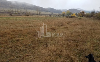 For Sale Country Land, in Tsinamdzgvriantkari