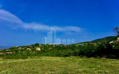 For Sale Land, Telatgori, Kaspi Municipality, Municipalities of Shida Kartli