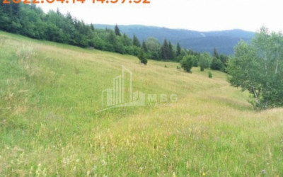 For Sale Land Mestia Samegrelo   Upper Svaneti