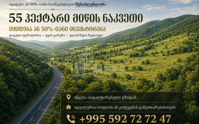 იყიდება სააგარაკე მიწის ნაკვეთი ჭერემში, გურჯაანი