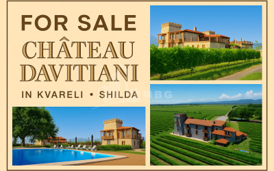 For Sale Commercial Kvareli City Kvareli Kakheti