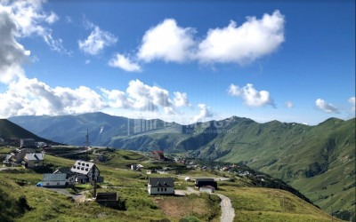 Продается Земельный Земля, в Ахали Гудаури