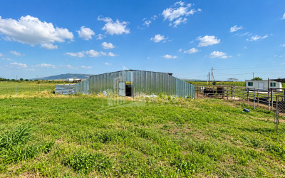 For Sale Production / warehousing space, Business yard Commercial In Koda, Tetritskaro