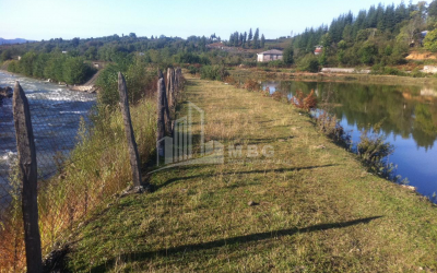 For Sale Land, Zeda Bakhvi, Ozurgeti Municipality, Municipalities of Guria