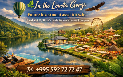 იყიდება ბიზნესი კომერციული ფართი თელავი კახეთი