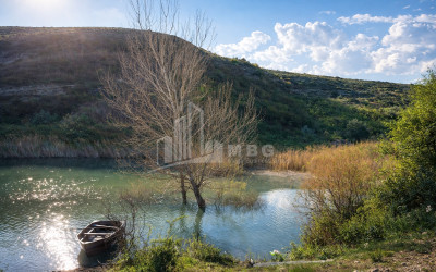 Продается Озеро - Рыболовное хозяйство Земля В Деревния Гачиани, Гардабани