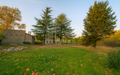 Продается Коммерческий Ахмета Кахети