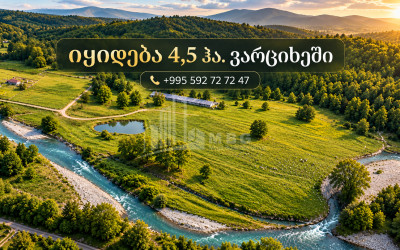 იყიდება სავენახე - საშატოე მიწის ნაკვეთი ვარციხჰესში, ბაღადათი