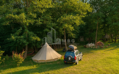 იყიდება ბიზნესი კომერციული ფართი თელავი კახეთი