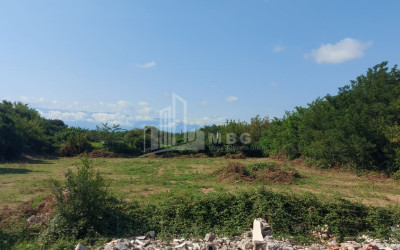 For Sale Land Kutaisi Imereti