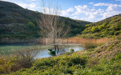 Продается Озеро - Рыболовное хозяйство Земля В Деревния Гачиани, Гардабани