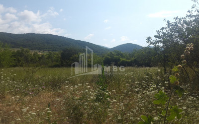 For Sale Country Land, in Tsinamdzgvriantkari
