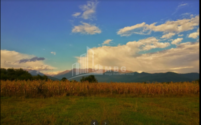 For Sale Vineyard - Chateau Land, in Matani