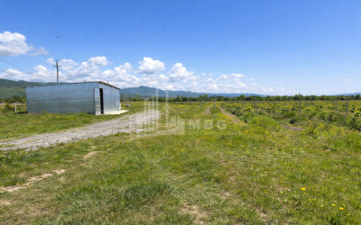 For Sale Vineyard - Chateau Land In Gori