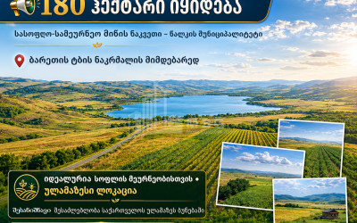 იყიდება სახნავ - სათესი მიწის ნაკვეთი წალკაში