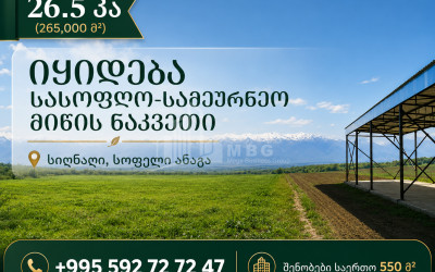 For Sale Orchards Land In Old Anaga, Signagi