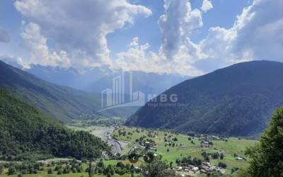 For Sale Commercial Becho Mestia Samegrelo   Upper Svaneti