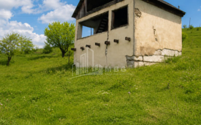 For Sale Country Land In Iltosa village, Dusheti