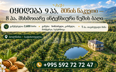 For Sale Walnut orchard Land In Bolnisi