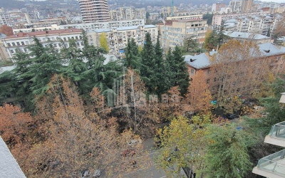 For Rent Flat, in Saburtalo