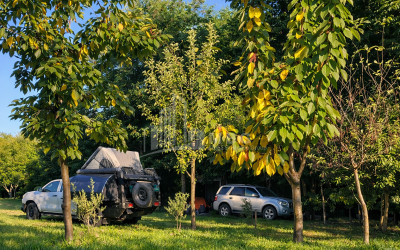 Business for sale Commercial Telavi Kakheti