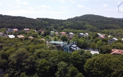For Sale House - Villa, in Betania