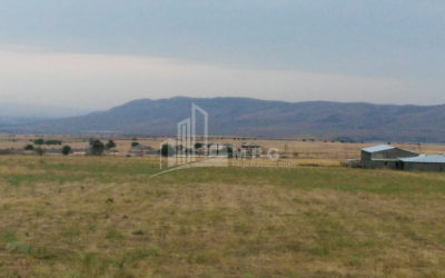 For Sale Orchards Land, in Kumisi