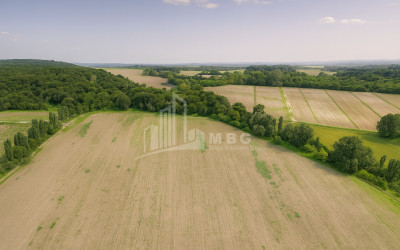 For Sale Land Telavi Kakheti
