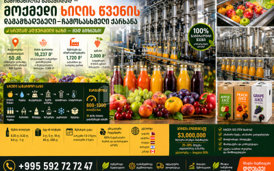 For Sale Factory Commercial In Shida Kartli