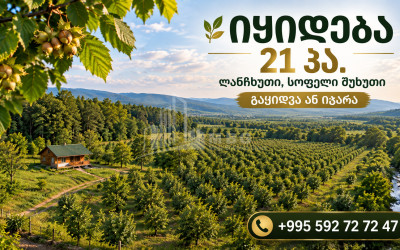 იყიდება ხეხილის ბაღი მიწის ნაკვეთი ქვემო შუხუთში, ლანჩხუთი
