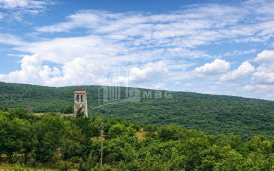 For Sale Country Land In Iltosa village, Dusheti