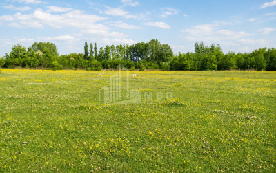 For Sale Orchards Land In Abasha