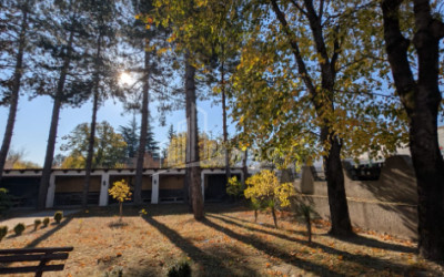 For Sale Commercial Akhmeta Kakheti