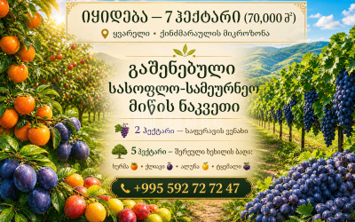 Продается Фруктовые сад Земля В Кварели