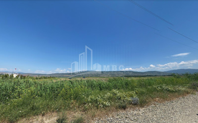 იყიდება მიწის ნაკვეთი, წილკანი, მცხეთის მუნიციპალიტეტი, მცხეთა - მთიანეთი