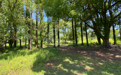 Продается Дачные Земля, в Город Поти