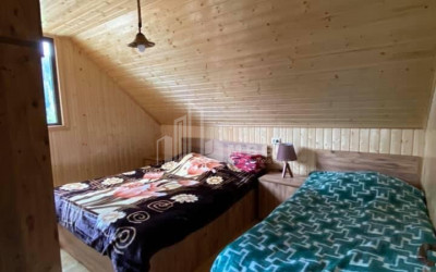 Daily Rent House - Villa, in Bakhmaro