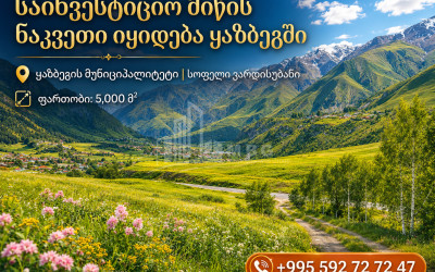 For Sale Country Land In Kazbegi